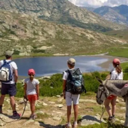 Beau Neuf A 5 Mn De La * Ventiseri