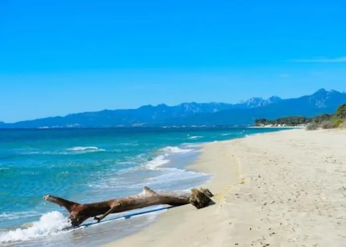 Beau Neuf A 5 Mn De La Apartment Ventiseri