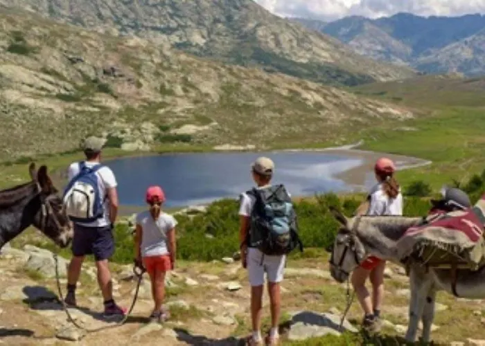 Beau Neuf A 5 Mn De La * Ventiseri