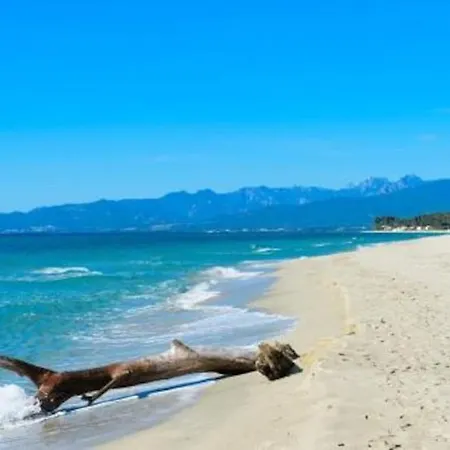 Beau Neuf A 5 Mn De La Apartment Ventiseri